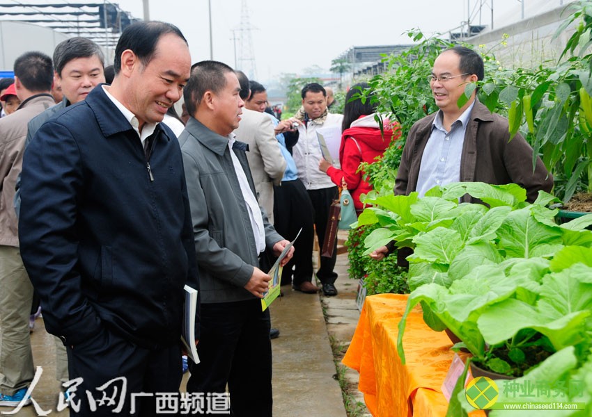 嘉賓在八桂田園參觀交流（見習記者廖小圓/攝）