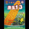 滑玉13