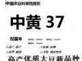 大豆種子中黃37全國(guó)招商