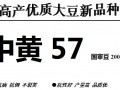 大豆種子中黃57全國(guó)招商