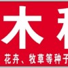 優(yōu)質(zhì)北欒種子河北億利達種業(yè)