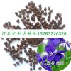 低價(jià)供應(yīng)蘭花鳶尾種子北欒種子－河北億利達(dá)種業(yè)