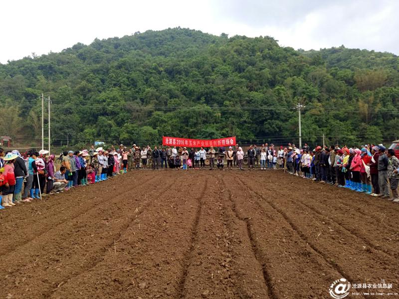 圖片其版權(quán)均歸原作者所有，未經(jīng)許可嚴(yán)禁轉(zhuǎn)載或建立鏡像，如需轉(zhuǎn)載，請(qǐng)與作者或本站聯(lián)系