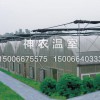 溫室大棚建造找哪家：畜牧溫室大棚建設(shè)