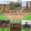 小行距移栽機|華龍機械提供優(yōu)惠的蔬菜移栽機