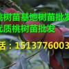 南陽(yáng)可靠的桃樹苗嫁接——湖南桃樹苗嫁接