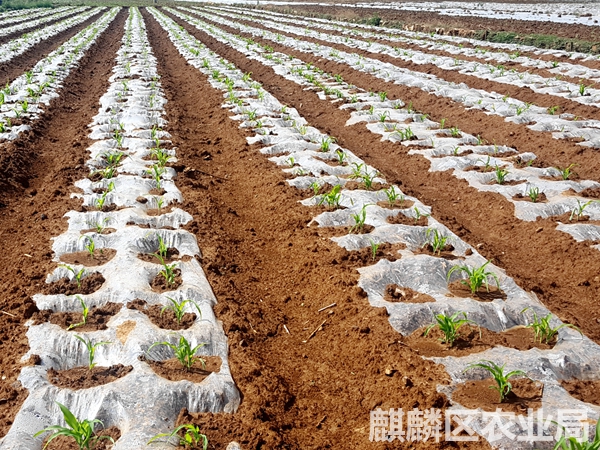 圖片其版權均歸原作者所有，未經許可嚴禁轉載或建立鏡像，如需轉載，請與作者或本站聯(lián)系