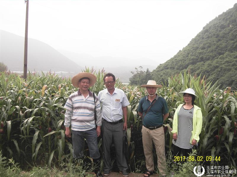 圖片其版權(quán)均歸原作者所有，未經(jīng)許可嚴(yán)禁轉(zhuǎn)載或建立鏡像，如需轉(zhuǎn)載，請(qǐng)與作者或本站聯(lián)系