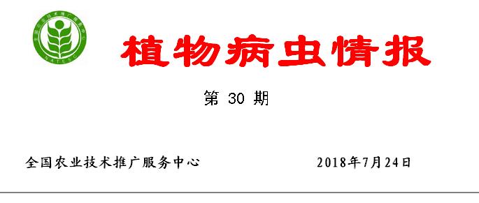 360截圖20180725074911750