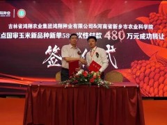 大手筆！這家種企簽了一份480萬(wàn)元的玉米品種轉(zhuǎn)讓協(xié)議 (23?)