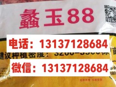 2022-2021年高產(chǎn)玉米種子都有哪些 (0?)