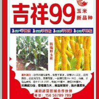 吉祥99玉米新品種，誠(chéng)招適宜區(qū)域代理商