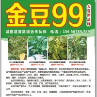 金豆99大豆種，誠招經(jīng)銷商