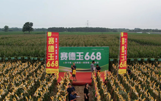 鑫玉農(nóng)807＆賽德玉668“炫動(dòng)”黃淮營(yíng)銷峰會(huì)圓滿舉行