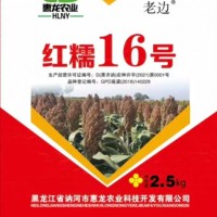 糯高粱種子紅糯16號(hào)高粱種子